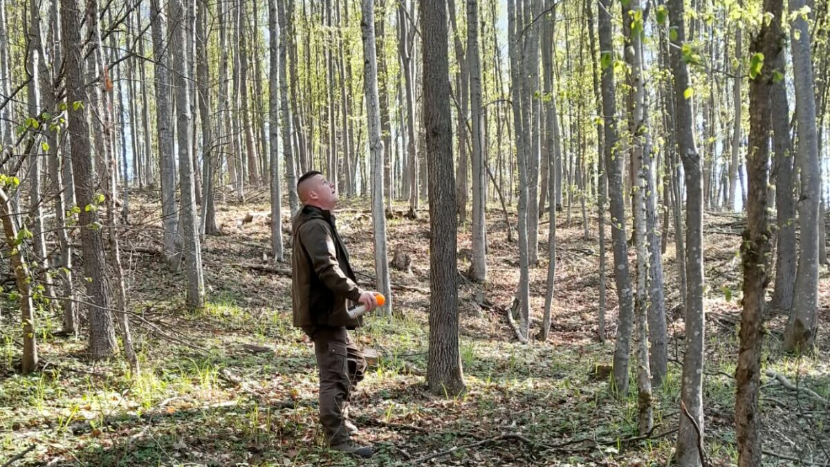 lesník pri práci v lese