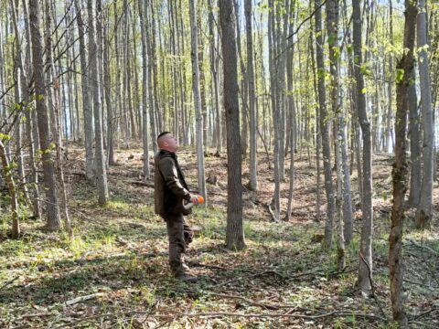 lesník pri práci v lese