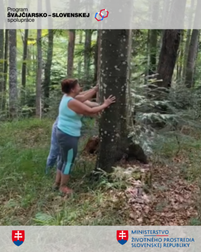 osoba sa dotýka stromu